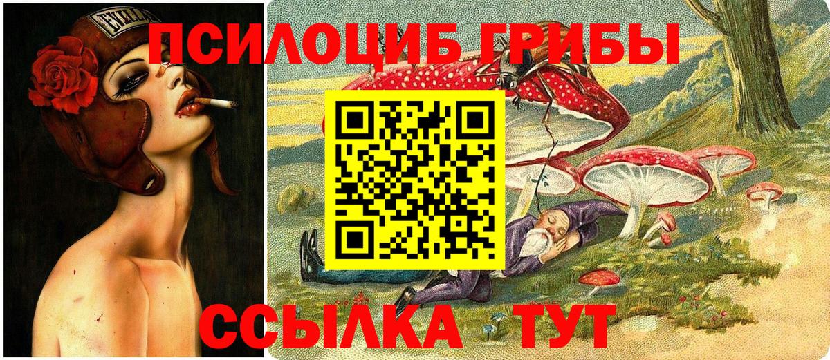 Воскресенск  закладка  Вход с VPN  Галлюциногенные грибы Psilocybe 