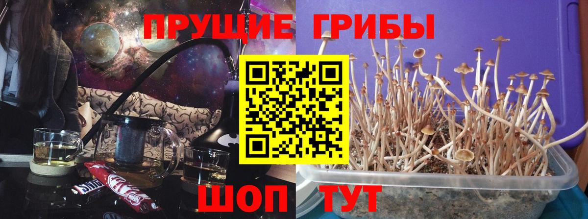 Псилоцибиновые грибы MAGIC MUSHROOMS Воскресенск
